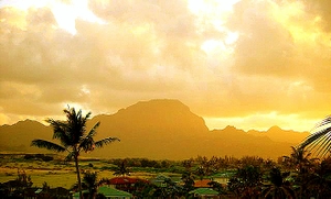 View from Bird of Paradise's living room : Hapu mountain range, Kauai vacation rental by owner
