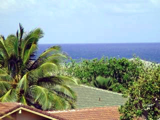The Pacific Ocean view : Poipu vacation rental home